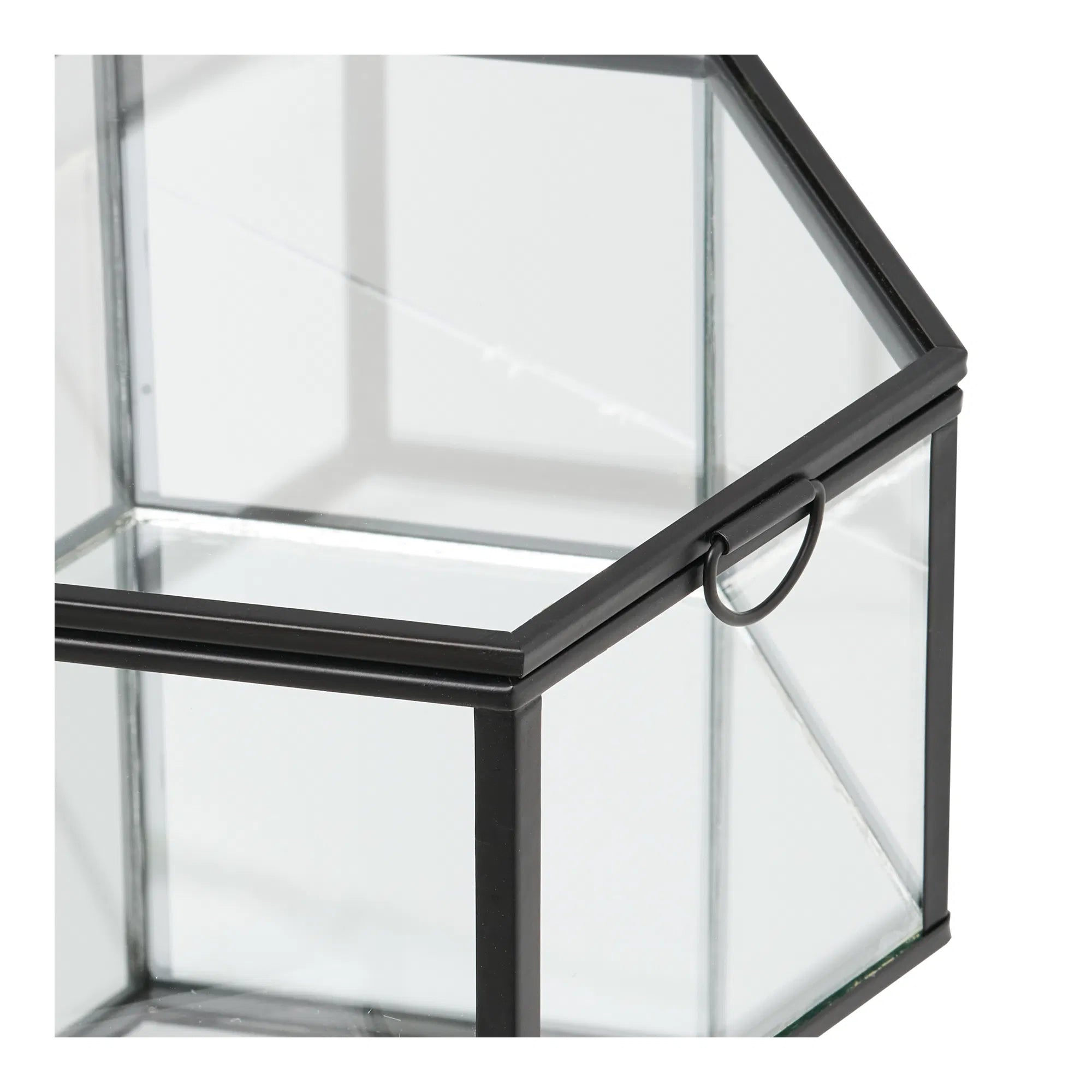 Opbergdoos Varnelle - van glas met metalen frame (set van 2)