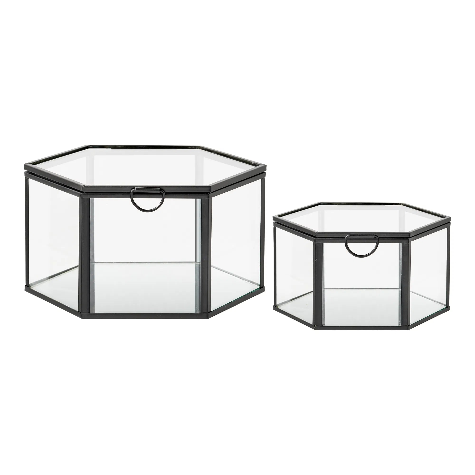Opbergdoos Varnelle - van glas met metalen frame (set van 2)