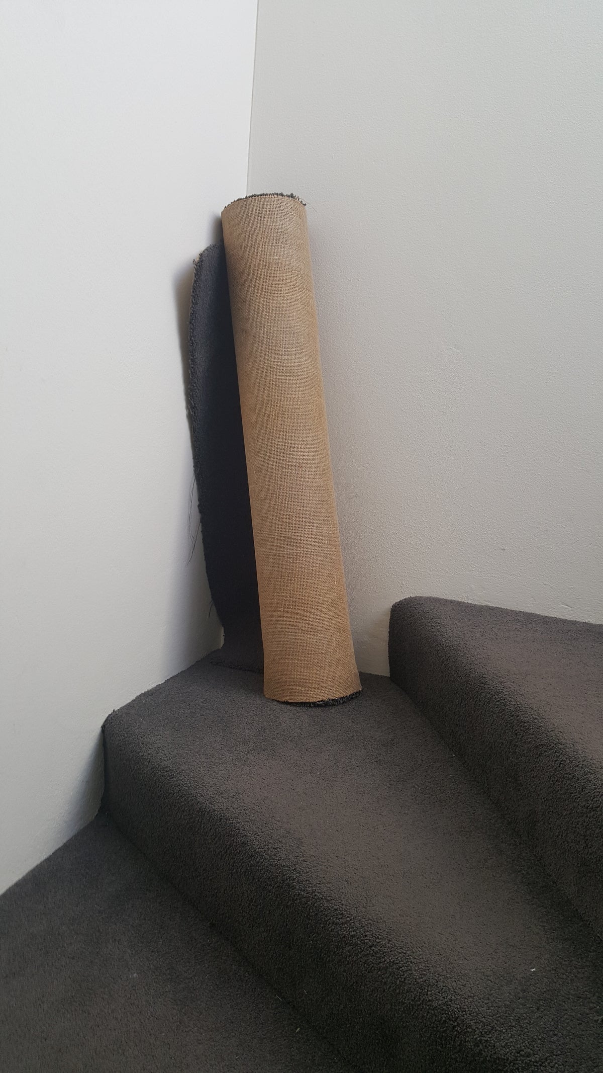 Poster Edge van hoogwaardig papier