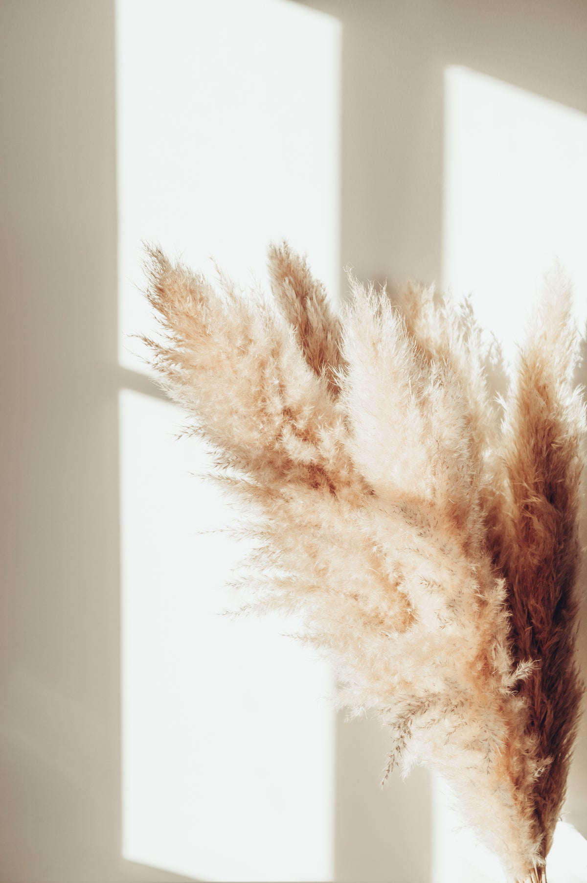 Poster Serenity van hoogwaardig papier