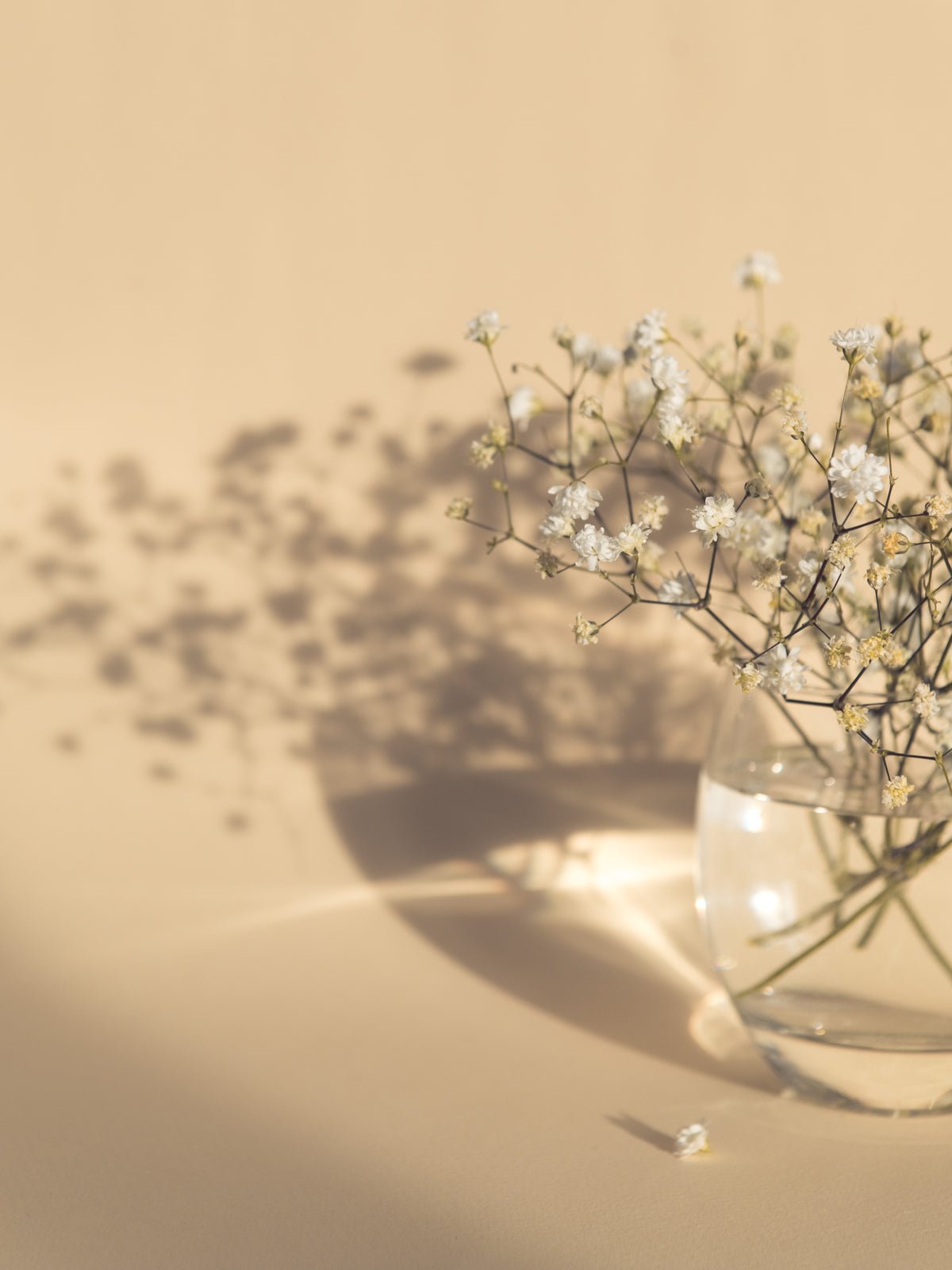 Poster Bloemenvaas van hoogwaardig papier