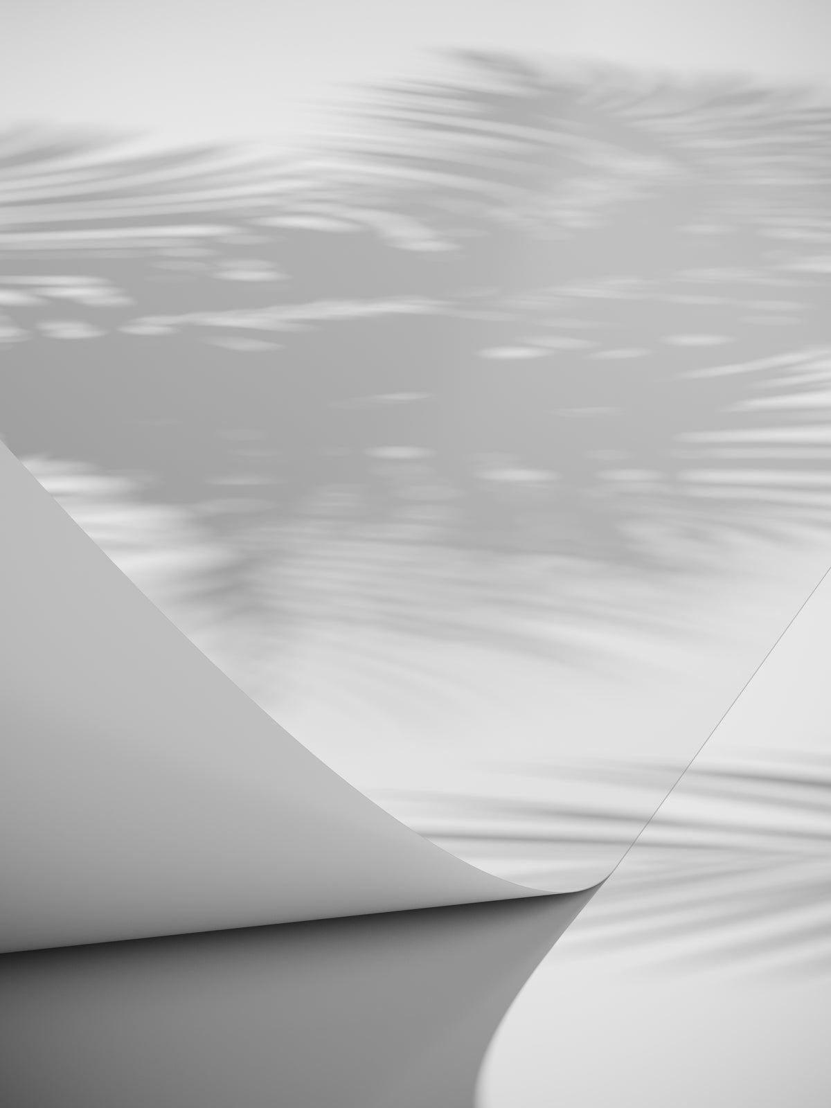 Poster Linea van hoogwaardig papier