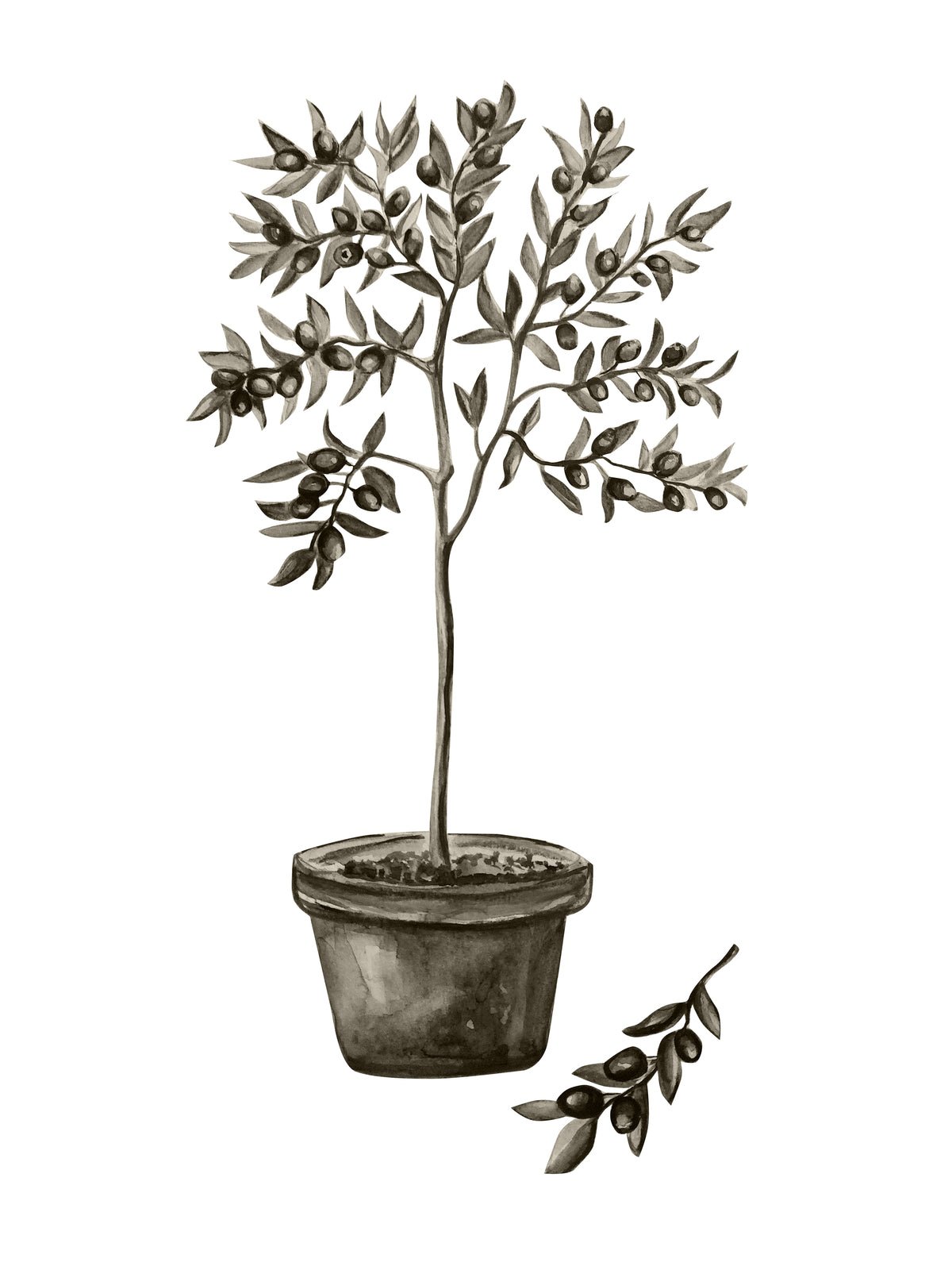 Poster Mediterran van hoogwaardig papier