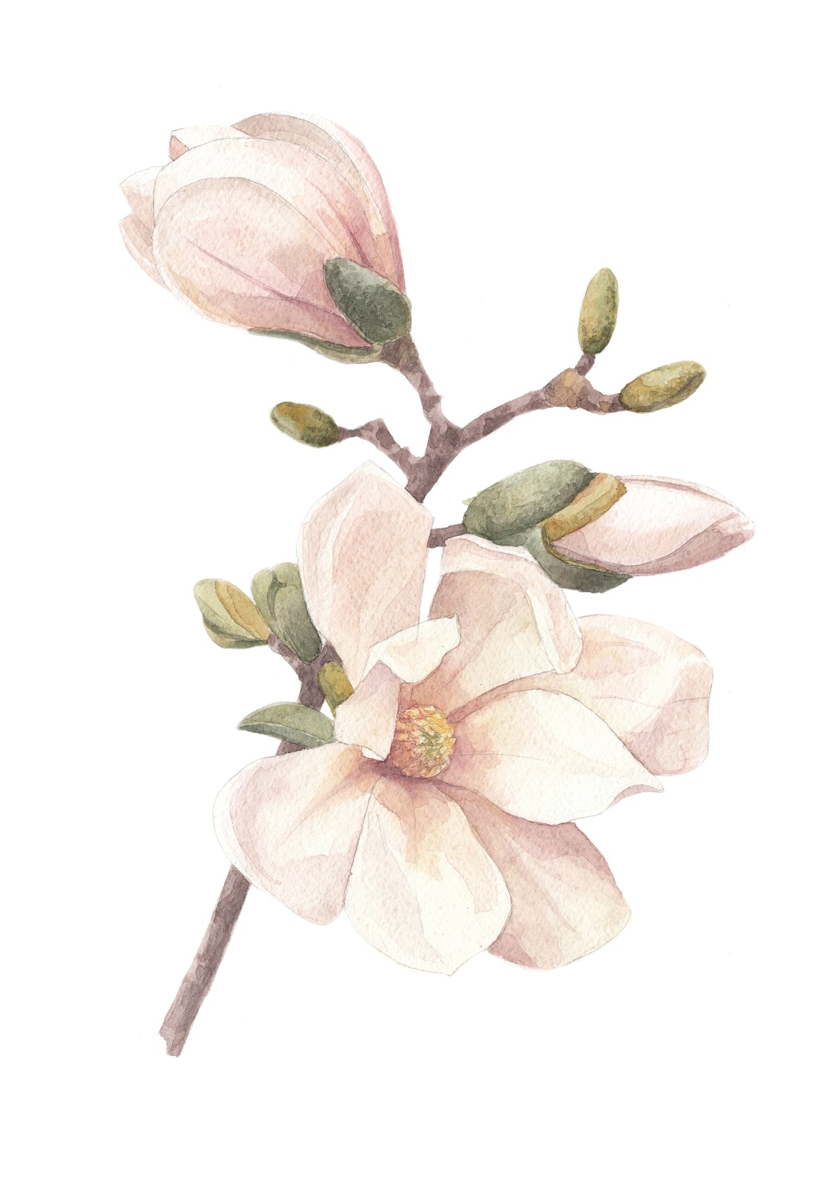 Poster Kersenbloesem van hoogwaardig papier