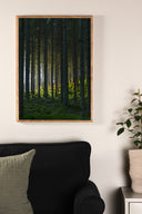 Poster Zwarte Woud van hoogwaardig papier