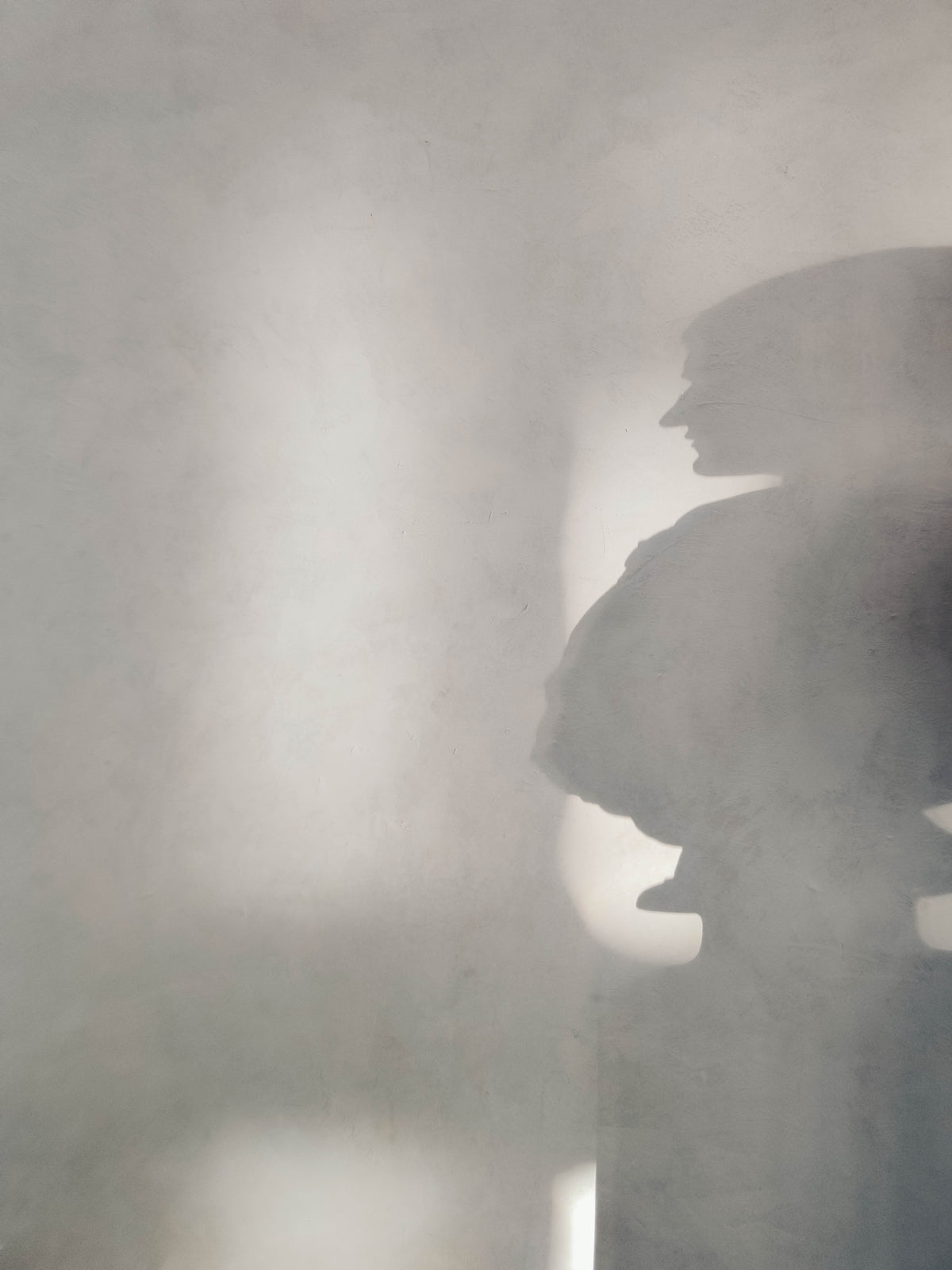 Poster Silent Silhouette van hoogwaardig papier