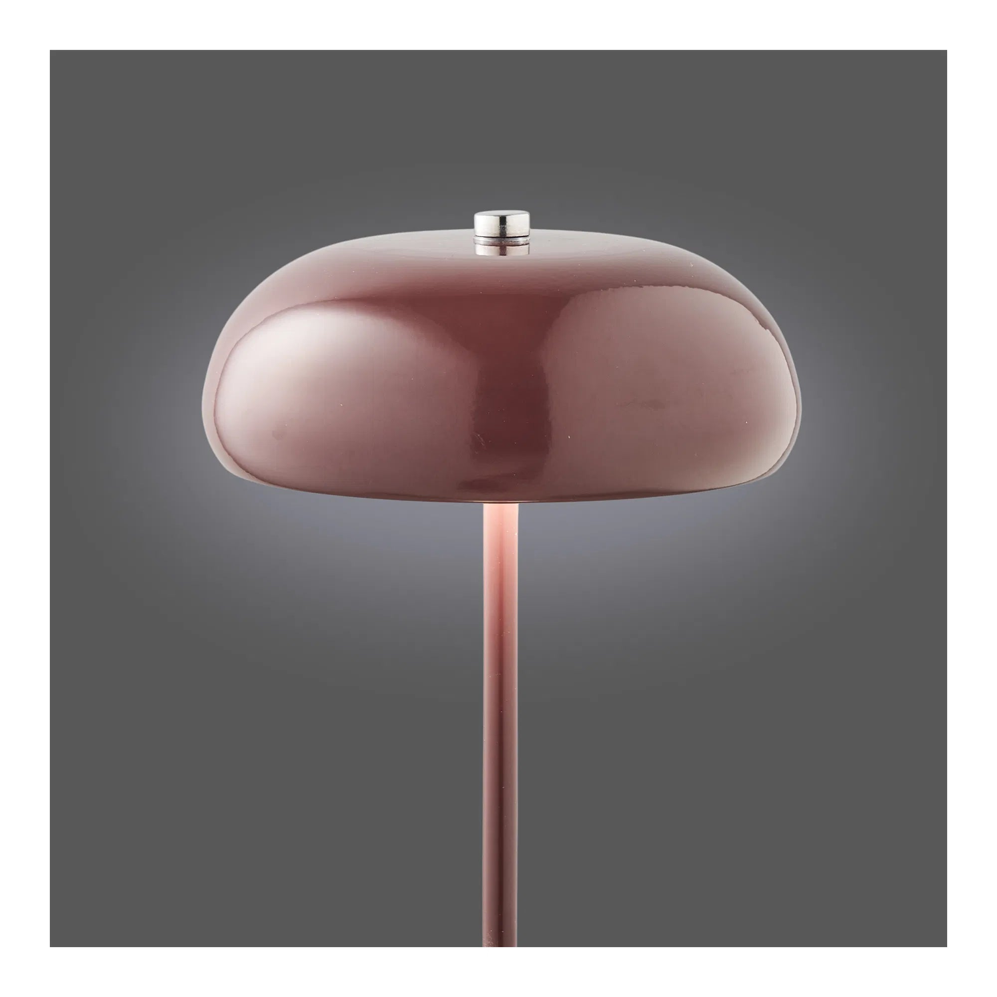 Tafellamp Elviora - Designlamp van metaal met LED