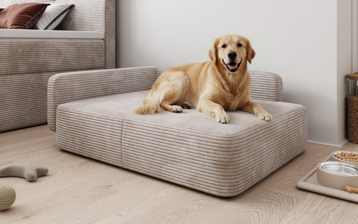 Hondensofa BelloCouch 80 × 100 cm in Ribstof