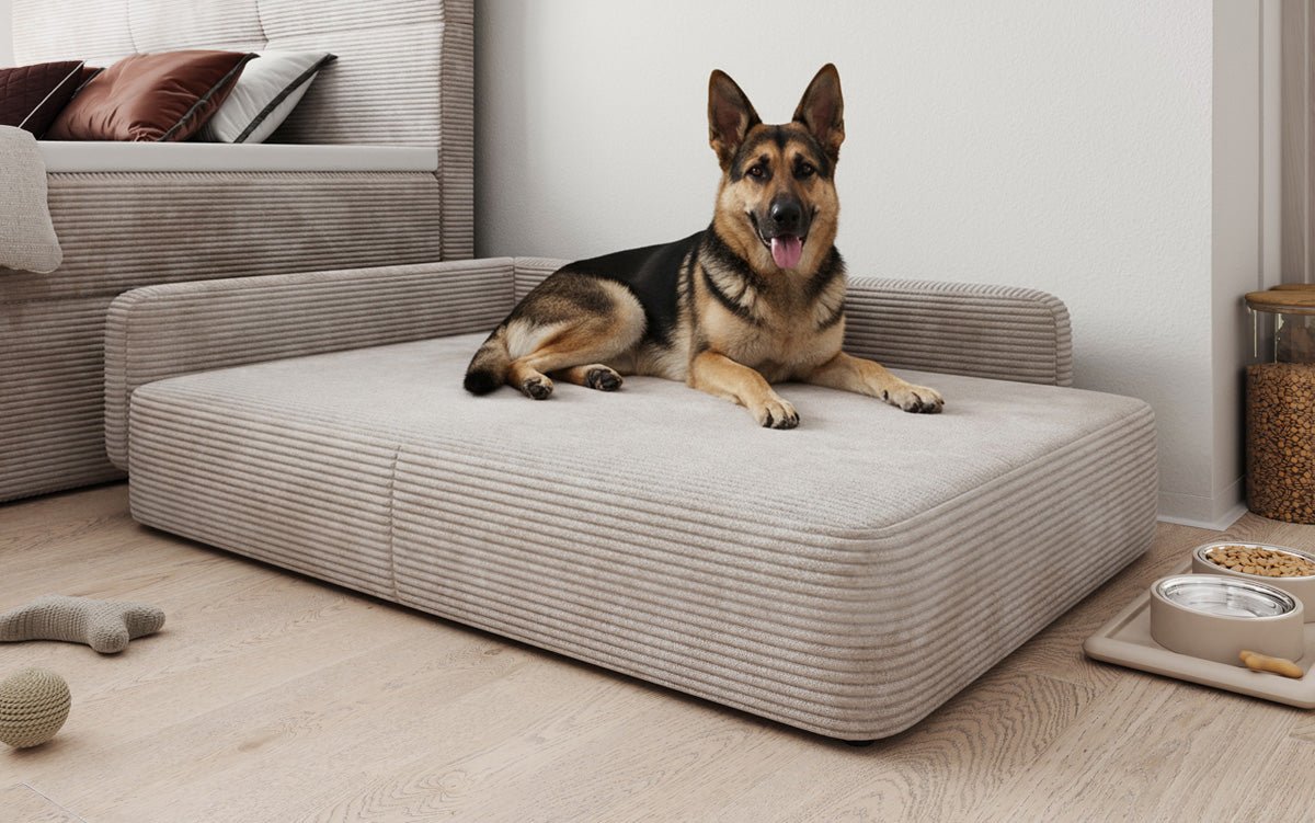 Hondensofa BelloCouch 100 × 120 cm in Ribstof