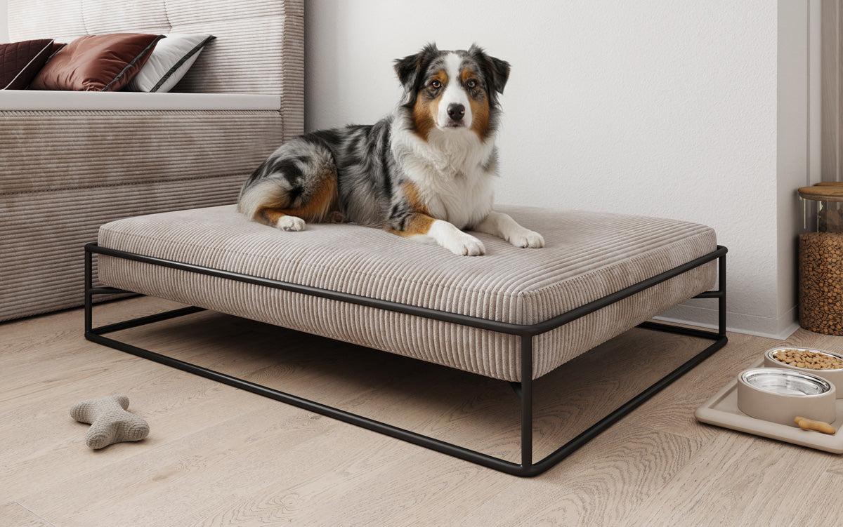 Hondenbed Lumo 110x80 cm in Ribstof