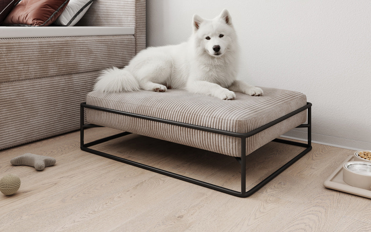 Hondenbed Lumo 80 × 60 cm in Ribstof